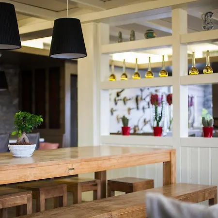 Berghaus Toni ريرالب